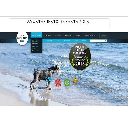 Playa 500M Y Centro Pueblo 600M, Piscina, 4 Clim, 2 Parkings Appartement Santa Pola Buitenkant foto